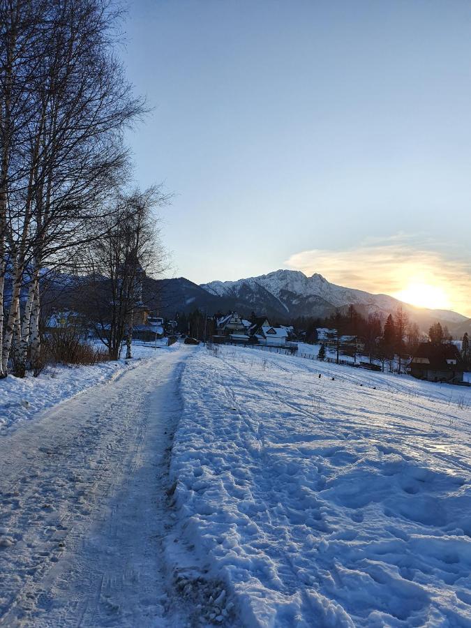 Podhalanskie Zacisze Zakopane Dış mekan fotoğraf